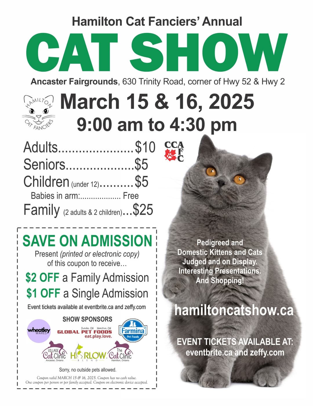 flyer