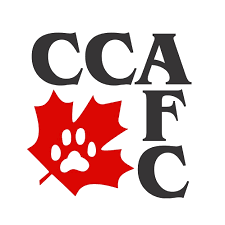 CCA-AFC Logo