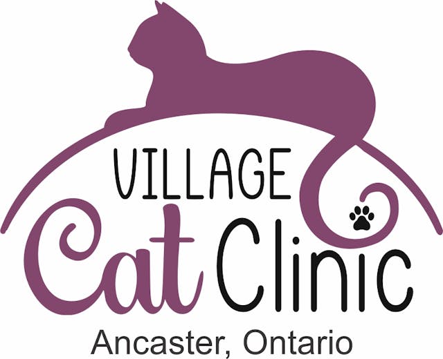 Village Cat Clinic